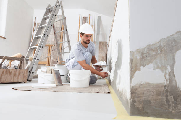 Best Residential Painting  in Highland Village, TX