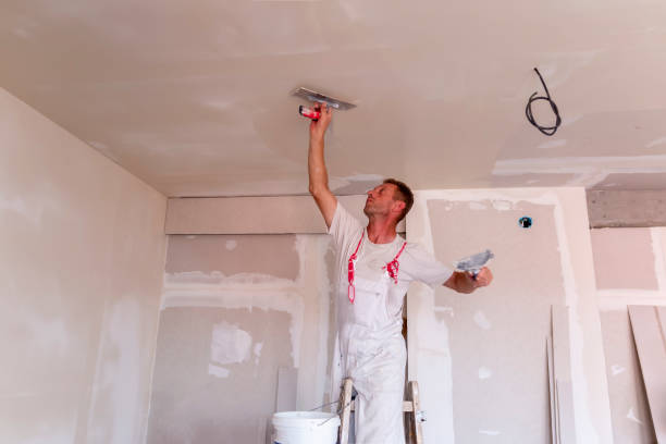 Best Ceiling Drywall Installation  in Highland Village, TX